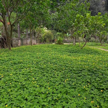 Yen Binh Homestay Ninh Binh Eksteriør billede