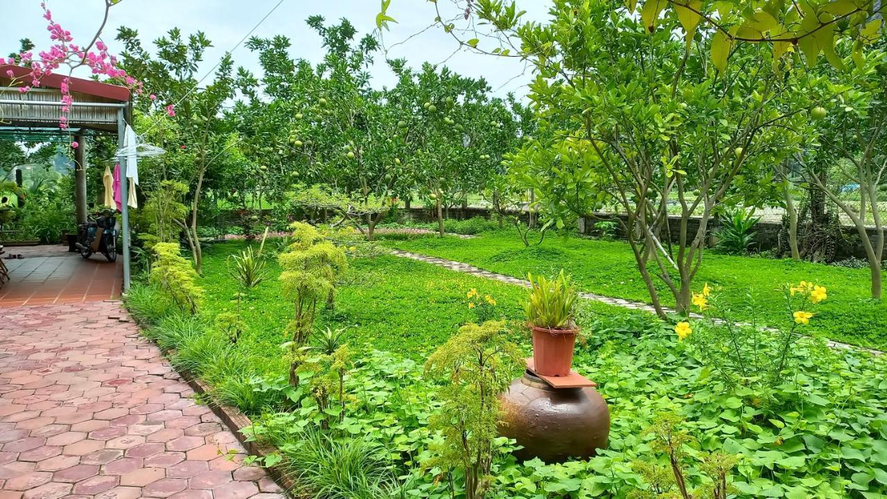 Yen Binh Homestay Ninh Binh Eksteriør billede