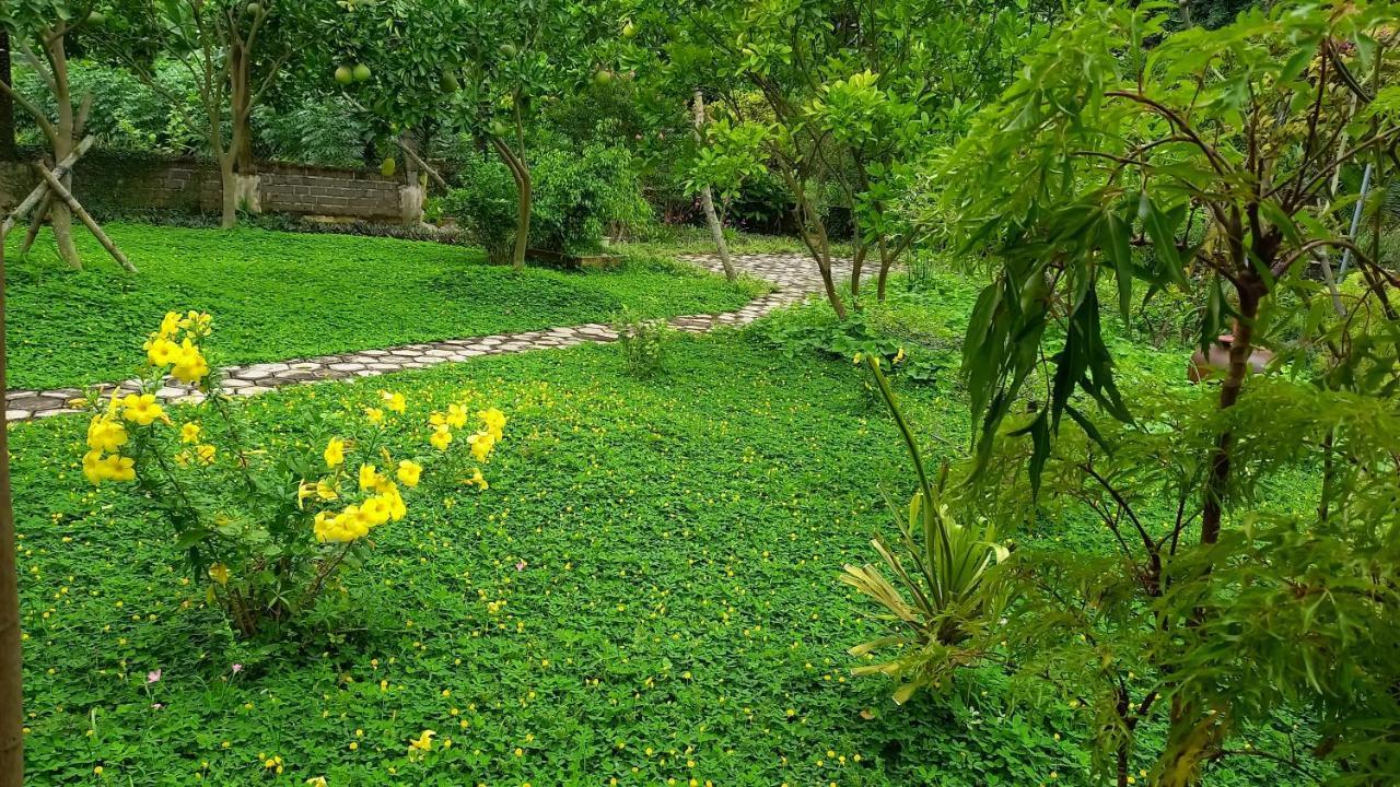 Yen Binh Homestay Ninh Binh Eksteriør billede