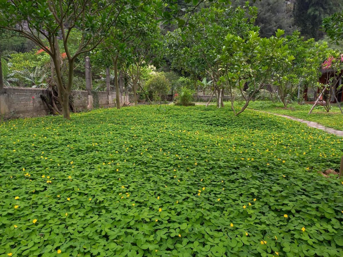 Yen Binh Homestay Ninh Binh Eksteriør billede