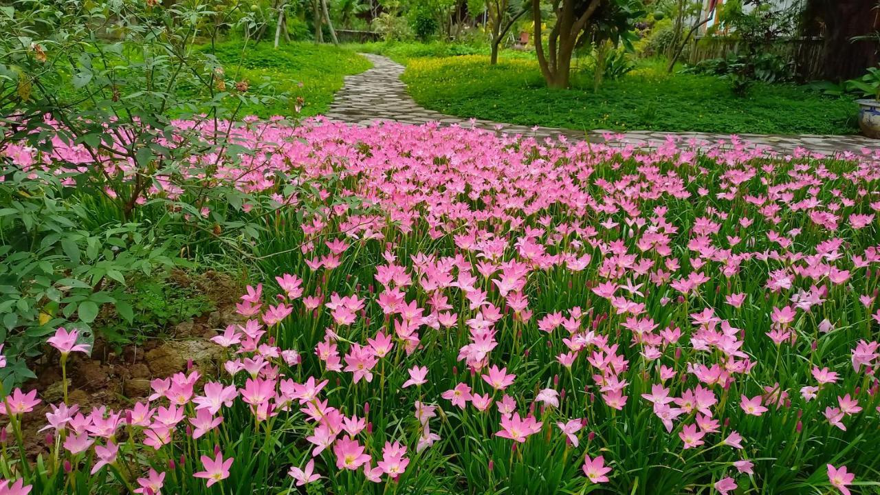 Yen Binh Homestay Ninh Binh Eksteriør billede