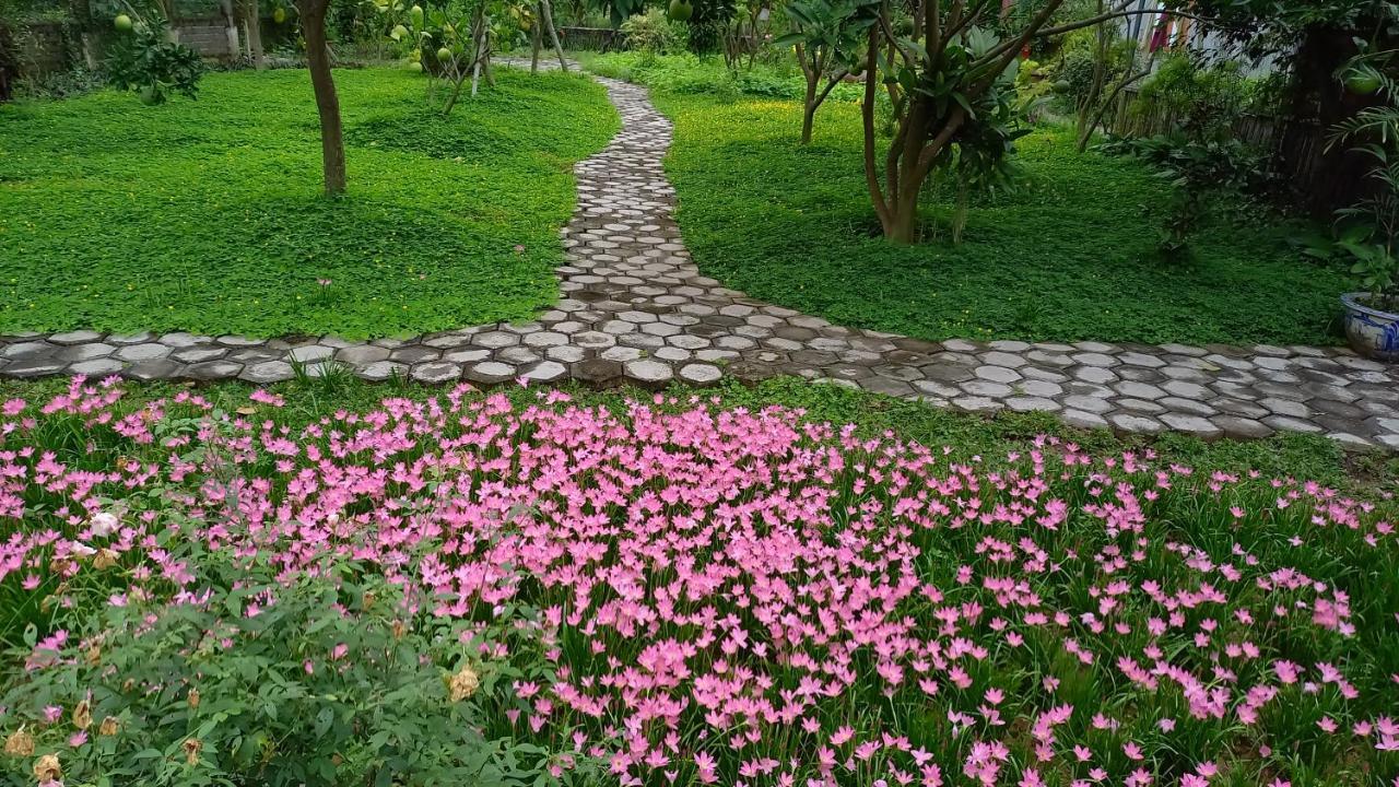Yen Binh Homestay Ninh Binh Eksteriør billede