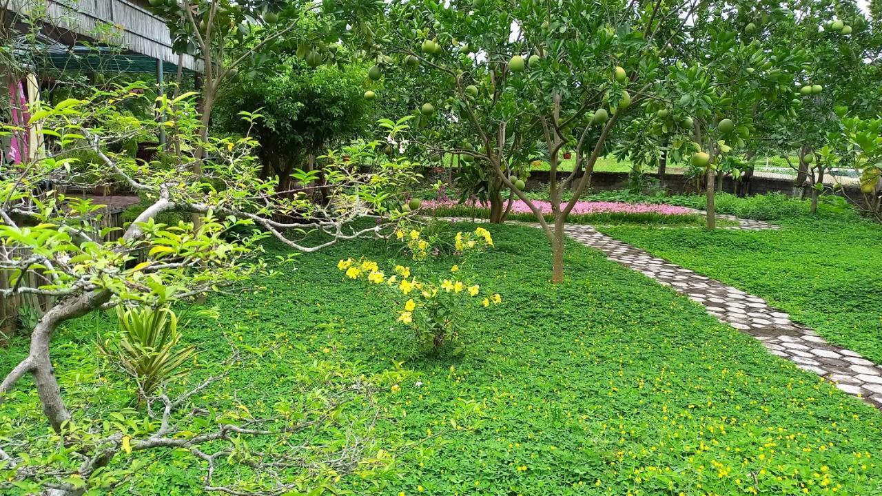 Yen Binh Homestay Ninh Binh Eksteriør billede
