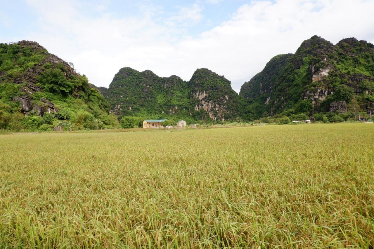 Yen Binh Homestay Ninh Binh Eksteriør billede