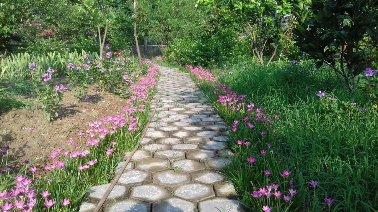 Yen Binh Homestay Ninh Binh Eksteriør billede